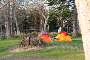 大自然の中にテントを張って寝床の準備。キャンプ最高！
